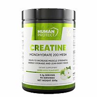 Creatine Monohydrate 200 Mesh - Human Protect 500 g Orange