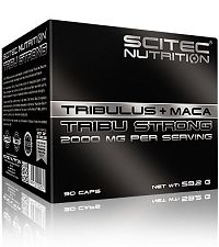 Tribu Strong od Scitec Nutrition
