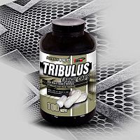 Tribulus Large Caps 90% - Vision Nutrition 100 kaps.