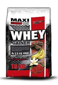 Whey Gainer od Vision Nutrition 10 kg MIX