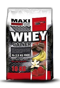 Whey Gainer od Vision Nutrition 2,25 kg Marcipán