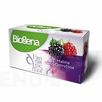 Biogena Fantastic Tea malina & ostružina 20x2,5 g