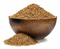 GRIZLY Alfalfa BIO semienka na klíčenie 250 g