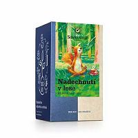 Sonnentor Čaj Nadýchnutie v lese BIO 18 sáčkov