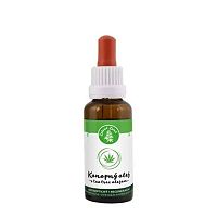 Zelená krajina Konopný olej s tea tree olejom 30 ml