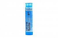 CALCAREA FLUORICA GRA HOM CH9 1x4 g
