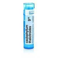 CAULOPHYLLUM THALICTROIDES GRA HOM CH9 1x4 g