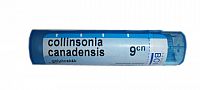 COLLINSONIA CANADENSIS GRA HOM CH9 1x4 g
