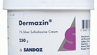 DERMAZIN 1 % krém crm der 1x250 g