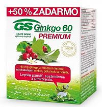 GS Ginkgo 60 PREMIUM tbl 40+20 zadarmo