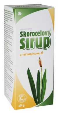 HERBACOS SKOROCELOVÝ SIRUP + VIT.C 1x320 g