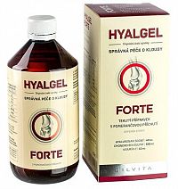 HYALGEL FORTE sirup s príchuťou pomaranča 1x500 ml