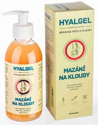 HYALGEL masť na boľavé kĺby 1x250 ml