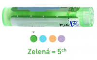 KALIUM SULFURICUM GRA HOM CH5 1x4 g