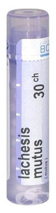 LACHESIS MUTUS GRA HOM CH30 1x4 g