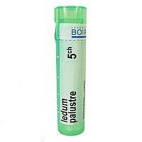 LEDUM PALUSTRE GRA HOM CH5 1x4 g