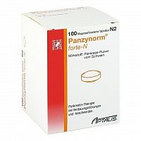 PANZYNORM FORTE-N tbl flm 1x100 ks