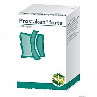 PROSTAKAN FORTE cps 160 mg/120 mg, 1x120 ks