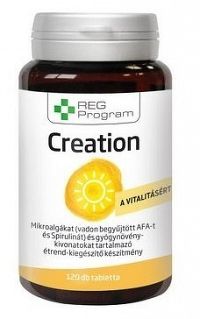 Reg Program Creation 120 tabl-superfood riasy
