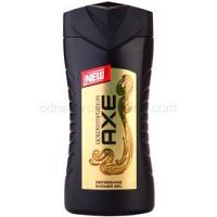 Axe Gold Temptation sprchový gél pre mužov 250 ml  