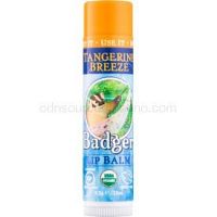 Badger Classic Tangerine Breeze balzam na pery  4,2 g