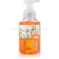 Bath & Body Works Clementine & Chamomile penové mydlo na ruky  259 ml