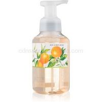 Bath & Body Works Sandalwood & Citrus penové mydlo na ruky  259 ml