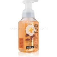 Bath & Body Works Warm Vanilla Sugar penové mydlo na ruky  259 ml