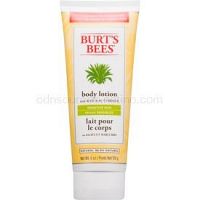 Burt’s Bees Aloe & Buttermilk telové mlieko na citlivú pokožku s aloe vera  170 g