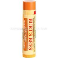 Burt’s Bees Lip Care balzam na pery s medom (with Honey & Vitamin E) 4,25 g