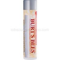 Burt’s Bees Lip Care balzam na suché pery  4,25 g