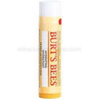 Burt’s Bees Lip Care hydratačný balzam na pery (with Coconut & Pear) 4,25 g