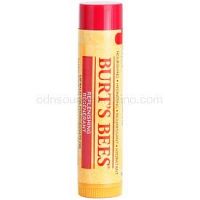 Burt’s Bees Lip Care regeneračný balzam na pery (with Pomegranate Oil) 4,25 g