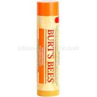 Burt’s Bees Lip Care vyživujúci balzam na pery (with Mango Butter) 4,25 g