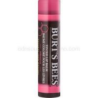 Burt’s Bees Tinted Lip Balm balzam na pery odtieň Hibiscus 4,25 g