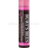 Burt’s Bees Tinted Lip Balm balzam na pery odtieň Pink Blossom 4,25 g