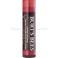 Burt’s Bees Tinted Lip Balm balzam na pery odtieň Red Dahlia 4,25 g