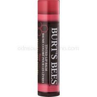 Burt’s Bees Tinted Lip Balm balzam na pery odtieň Rose 4,25 g