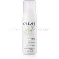 Caudalie Cleaners&Toners čistiaca pena   150 ml