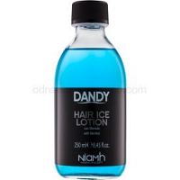 DANDY Hair Lotion vlasová kúra mentol  250 ml