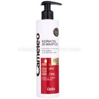 Delia Cosmetics Cameleo BB keratínový šampón pre farbené a melírované vlasy  250 ml
