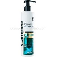 Delia Cosmetics Cameleo BB keratínový šampón pre jemné vlasy bez objemu  250 ml