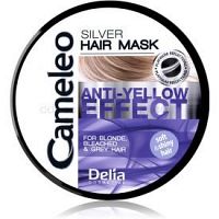 Delia Cosmetics Cameleo Silver maska na vlasy neutralizujúci žlté tóny  250 ml