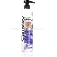 Delia Cosmetics Cameleo Silver šampón neutralizujúci žlté tóny  250 ml