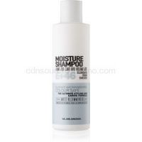 E+46 Moisture  hydratačný šampón pre suché a slabé vlasy  300 ml