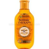 Garnier Botanic Therapy Argan Oil vyživujúci šampón pre normálne vlasy bez lesku  250 ml