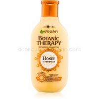 Garnier Botanic Therapy Honey obnovujúci šampón pre poškodené vlasy  250 ml