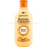 Garnier Botanic Therapy Honey obnovujúci šampón pre poškodené vlasy  400 ml