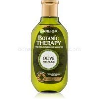 Garnier Botanic Therapy Olive vyživujúci šampón pre suché a poškodené vlasy  250 ml