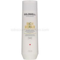 Goldwell Dualsenses Rich Repair obnovujúci šampón pre suché a poškodené vlasy  250 ml